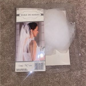 Bridal Veil for Bach party or Shower